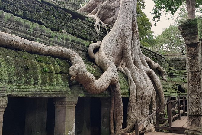 1day Private Tour, Angkor Sunrise,All Main Temples, Banteay Srei - Tour Schedule and Logistics