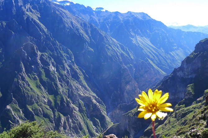 2 Day 1 Night Trek / Colca Canyon - Food Options