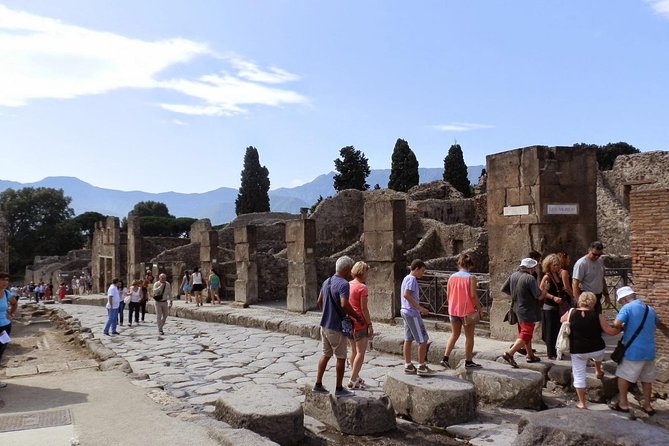 2 Hours Pompeii Tour With Local Historian - Ticket Included - Additional Information