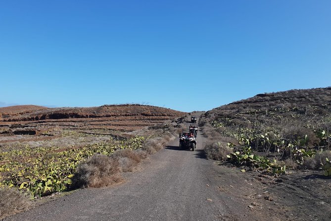 3-Hour Buggy Tour From Costa Teguise - Tour Group Size