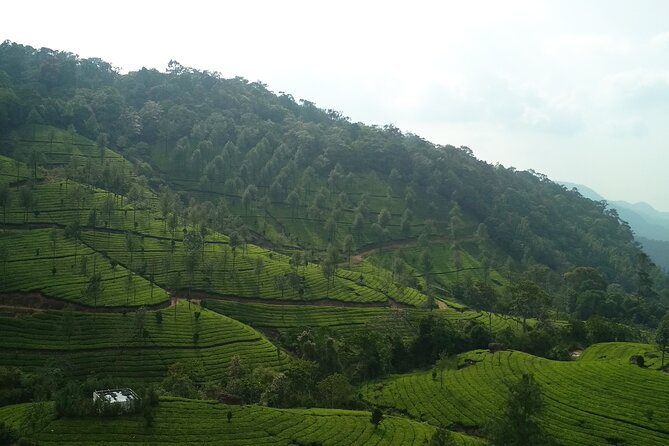 3 Nights 4 Days Munnar Alleppey Private Tour With Exclusive Houseboat Stay - Booking and Confirmation