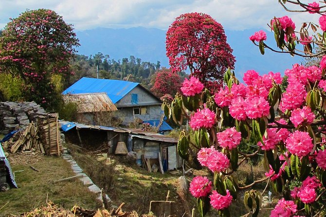 4-Day Private Poon Hill Trekking Tour - Logistics