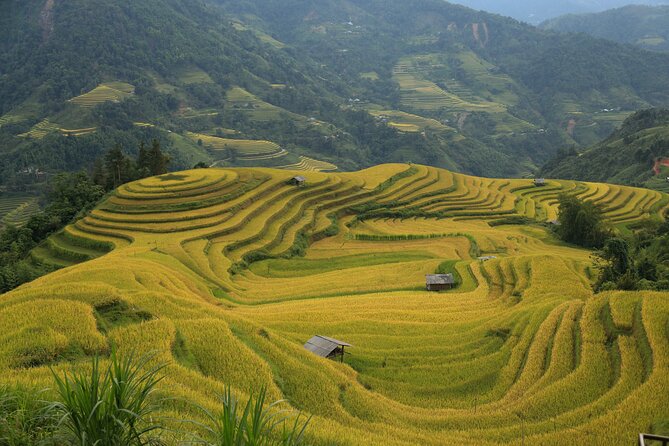 4-Day Tour in Ha Giang Loop With Professional Guide - Meeting and Pickup Information