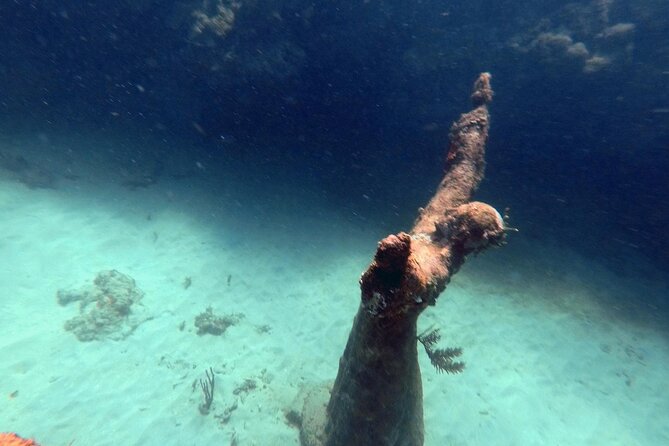 4-Hour Snorkel Cruise to Underwater Sculptures With Boat Dogs - Convenient Shuttle Service Options