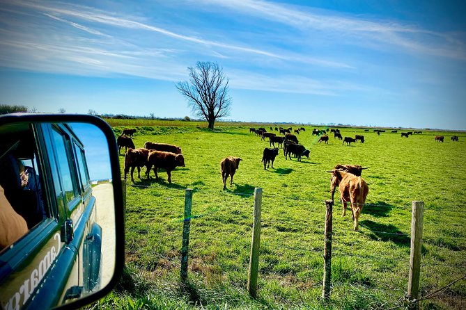 4x4 Camargue Safari 4h - Departure From Arles - Inclusions and Exclusions