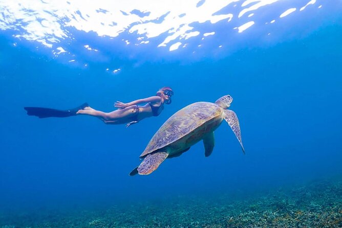 5 Islands Full-Day Tour Around Koh Tao and Koh Nangyuan - Additional Information