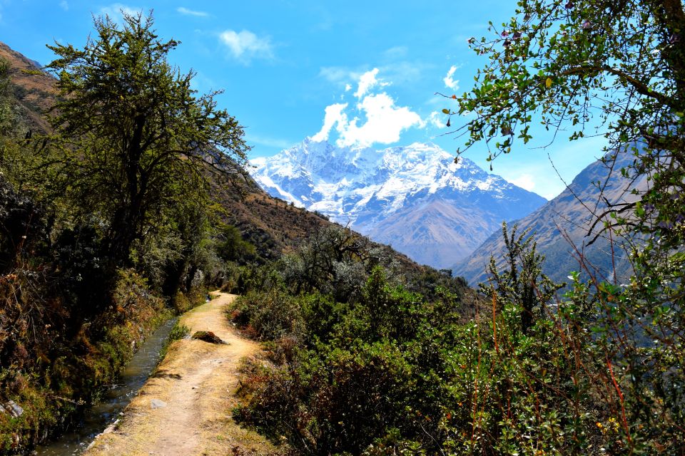 8 Day Cusco and Salkantay Trek to Machu Picchu - Scenic Views of Salkantay Peak