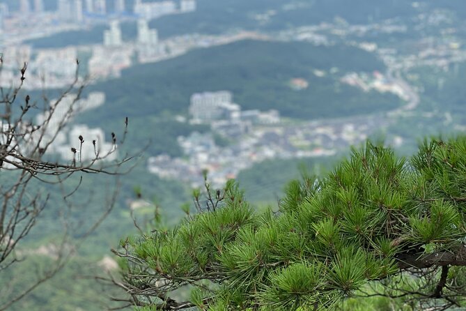 Activity - Mt. Bukhan Hiking Guided Tour - Tour Accessibility and Group Size