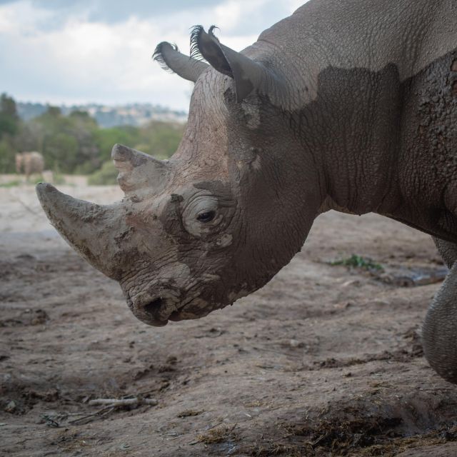 Africam Safari Conservation Park - Inclusions and Exclusions