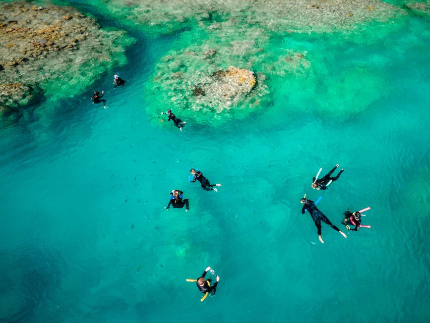 Airlie Beach: 2-Day Whitsunday Islands Sailing Snorkel Tour - Customer Reviews