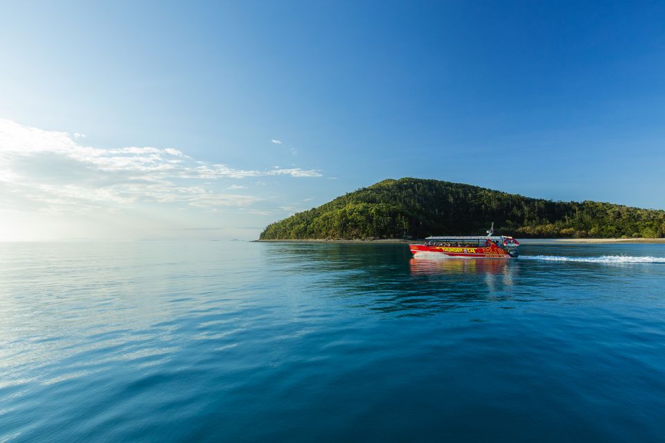 Airlie Beach: Whitehaven Full-Day Eco-Cruise With Buffet - Experience Highlights