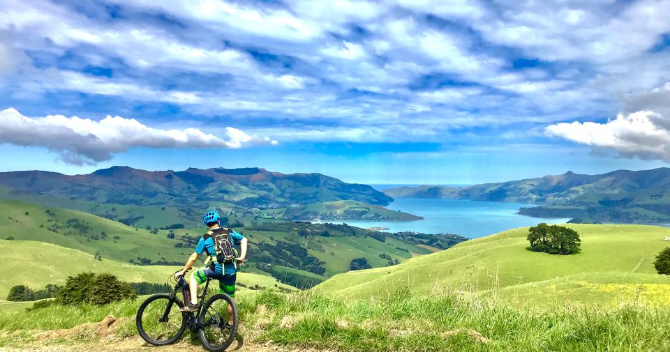 Akaroa: Guided Electric Mountain Bike Tour - Guest Requirements