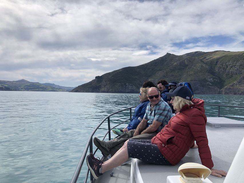 Akaroa: Scenic Coastline Wildlife Cruise - Customer Reviews