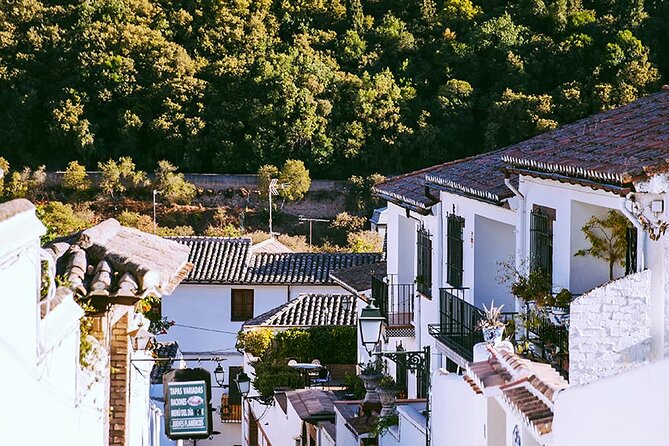 Albayzin and Sacromonte Guided Walking Tour in Granada - Highlights of Albayzín