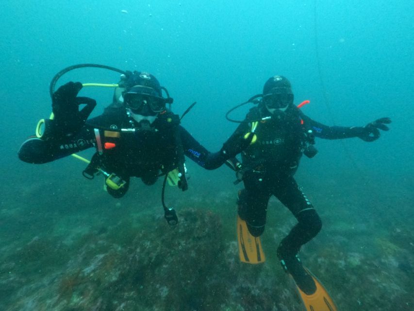 Albufeira: Scuba Diving Experience for Beginners - Equipment and Certification