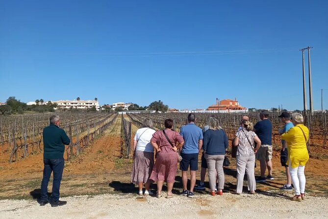 Albufeira Tour: Winery Wine and Tapas Boards - Wine Tasting and Winery Tour