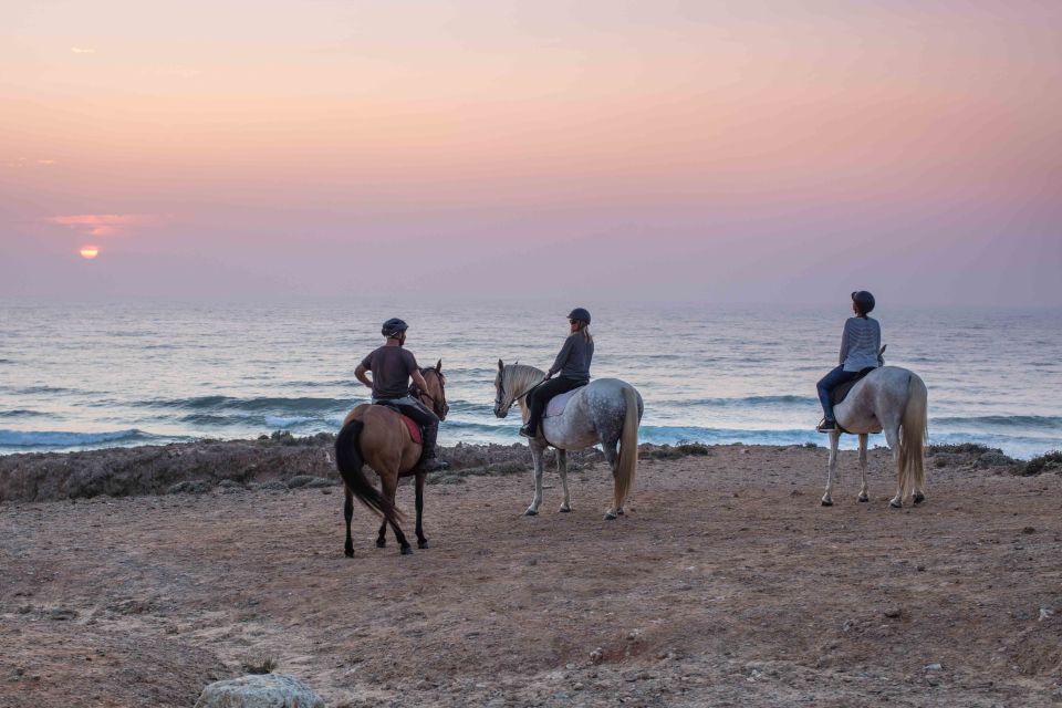 Algarve: Horse Riding Beach Tour at Sunset or Morning - Recommendations