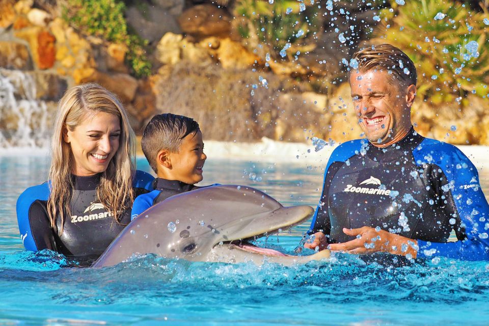 Algarve Zoomarine Ticket and Dolphin Emotions Experience - Participant Requirements