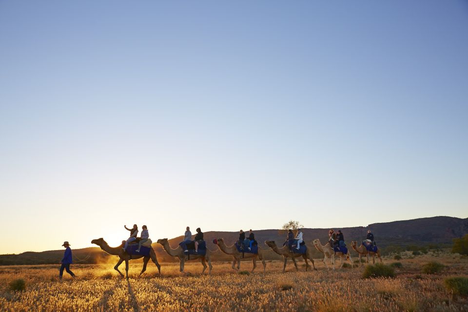 Alice Springs: Guided Outback Camel Ride - Meeting Point and What to Bring