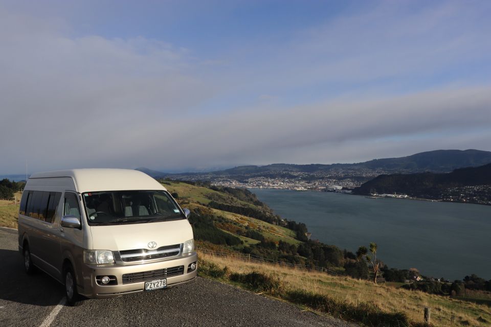 All in Dunedin - Nature & City Tour - Customer Reviews