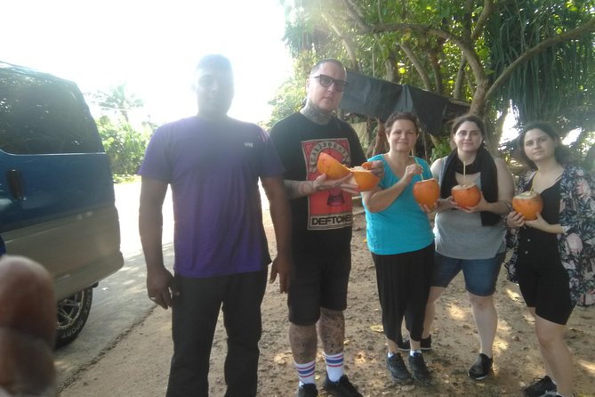 All Inclusive Private Day Tour Sigiriya, Dambulla & Traditional Village Tour - Itinerary Overview