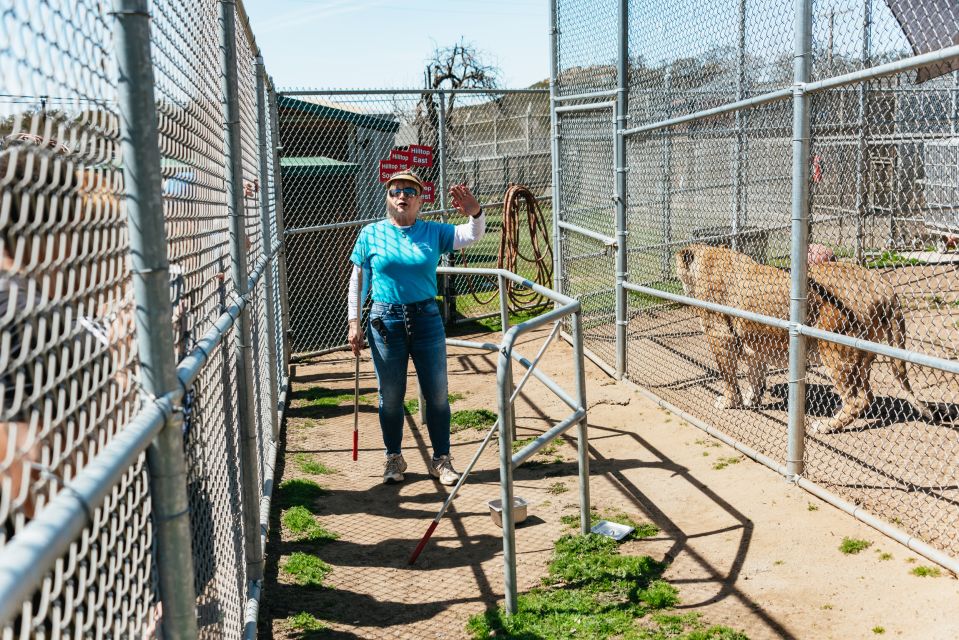 Alpine: Lions Tigers & Bears Sanctuary Visit and Feeding - Efforts to Rescue and Care