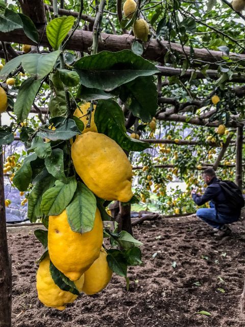 Amalfi Coast Path of the Lemon Private Walking Tour - Santuario Santa Maria a Mare