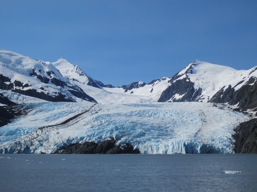 Anchorage: Glacier and Wildlife Explorer Cruise - Experience Inclusions