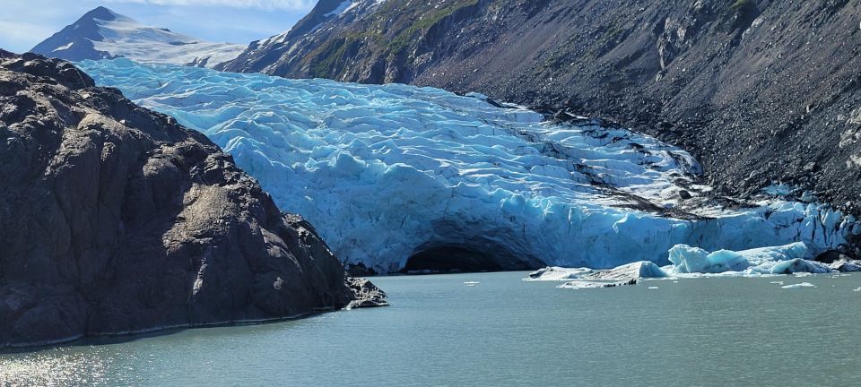 Anchorage: Glacier and Wildlife Explorer Cruise - Transportation Included