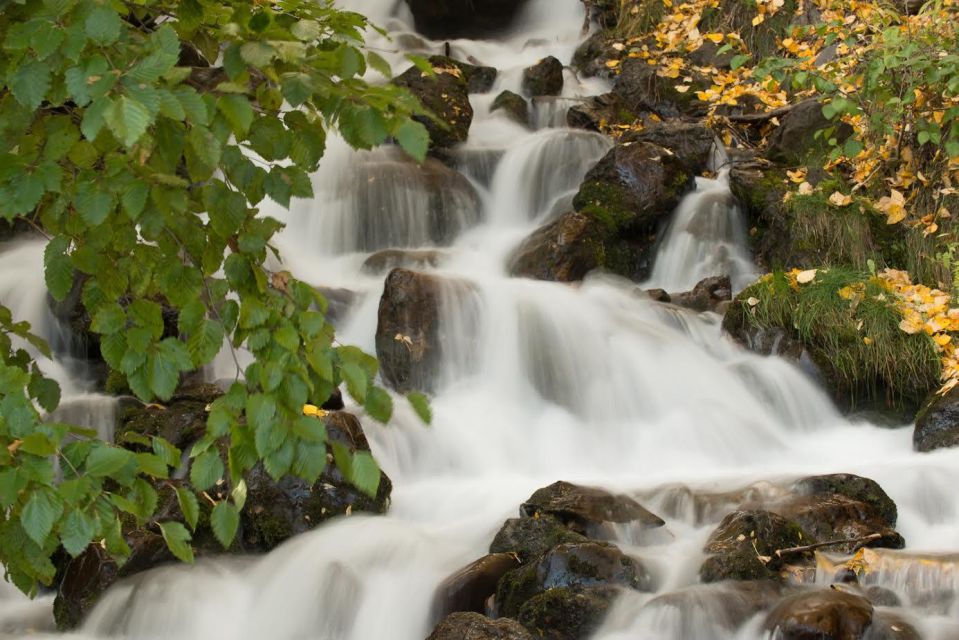 Anchorage: Turnagain Arm Highlights Photography Day Trip - Requirements and Recommendations