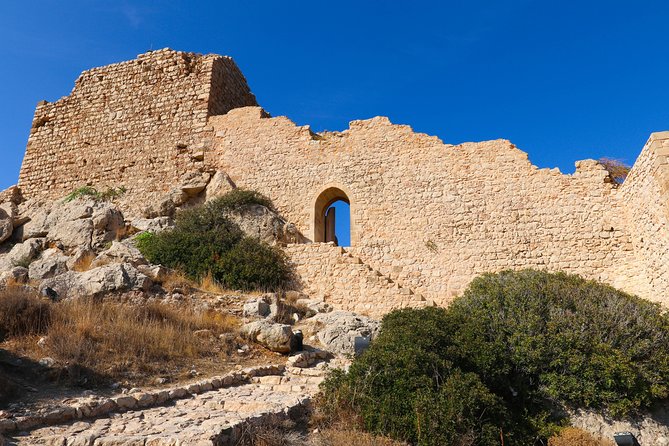 Ancient Kamiros, Kritinia Fort, Embona, and Scenic Mount Profitis Ilias - Additional Tour Details