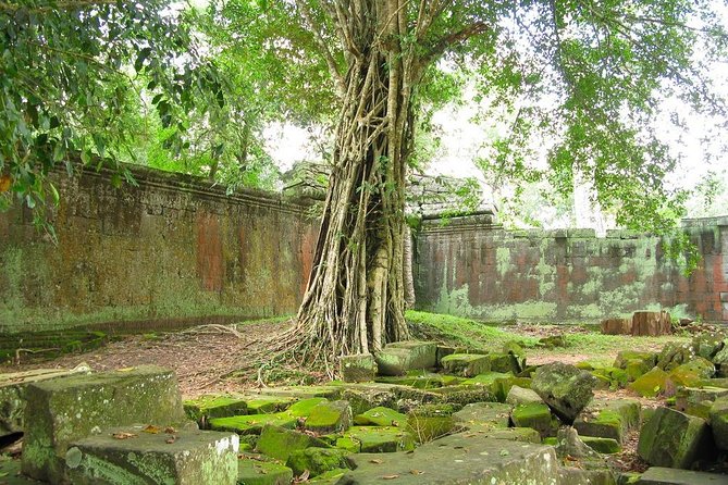 Angkor Wat Private Tour With English Speaking Driver, NO Guide - Activity Details