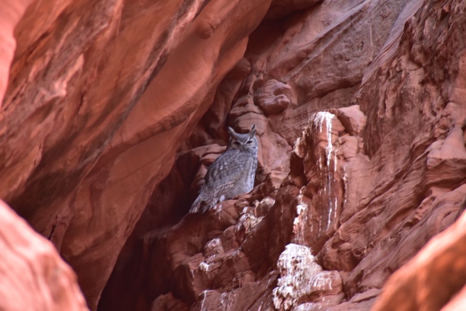 Antelope Canyon: Owl Canyon Guided Hiking Tour - Navajo Culture and History