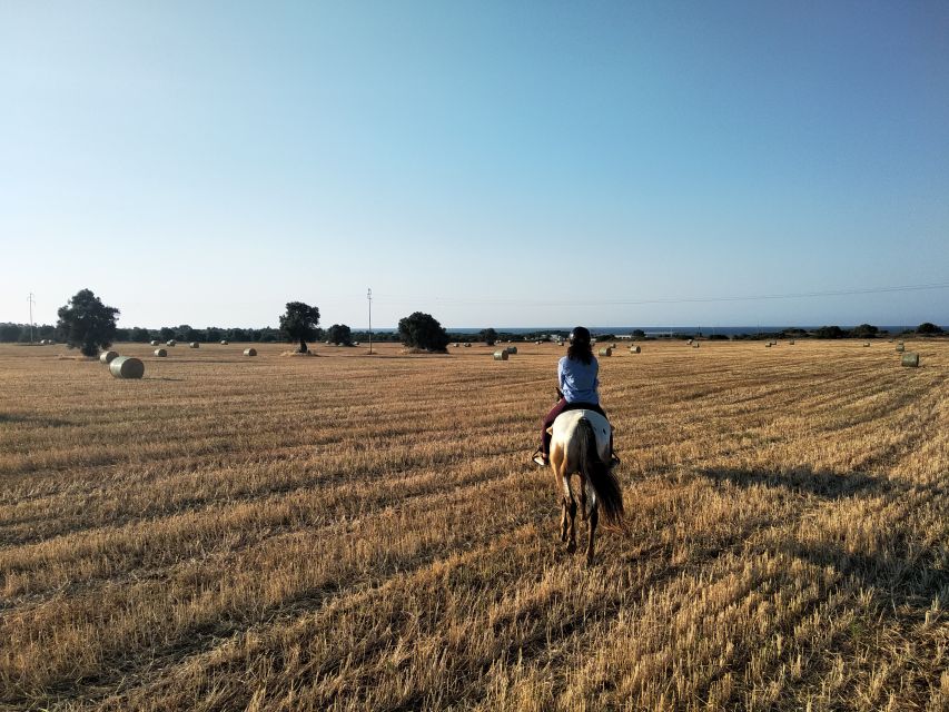 Apulia: Horseback Riding Trip in Parco Dune Costiere - Booking and Cancellation