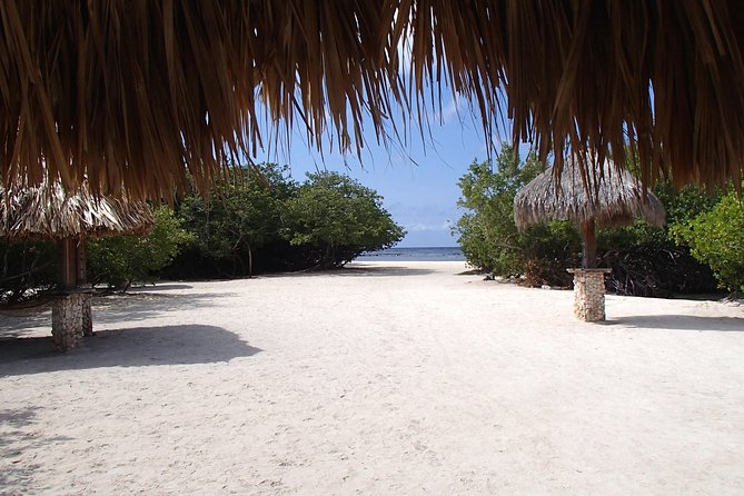 Aruba Mangel Halto and Baby Beach Snorkeling Guided Tour - Marine Life Exploration