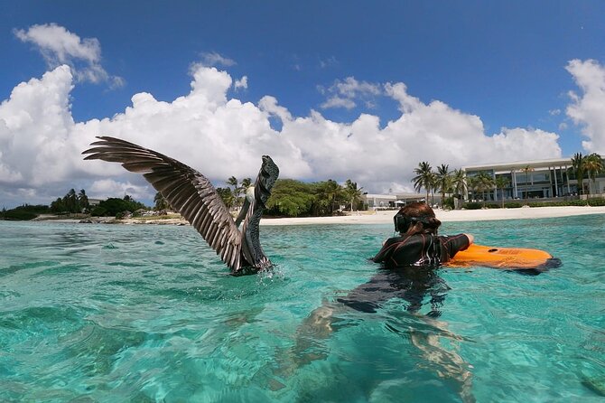 Aruba Seabob Scooter Reef Tour  - Exploring the Underwater World