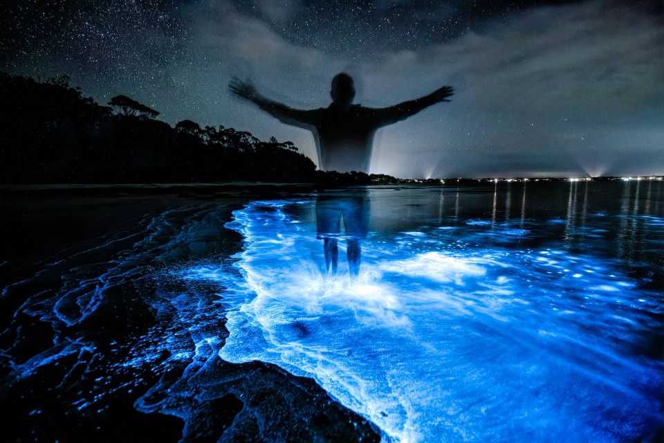 Auckland: Bioluminescence Kayak Tour - Starting Locations