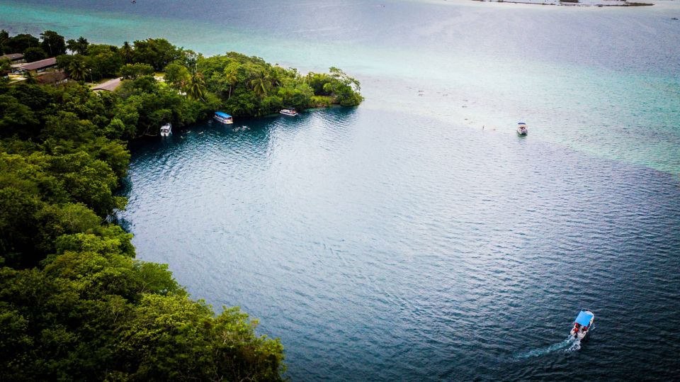 Bacalar: Private Boat Tour - Observing Bird Island