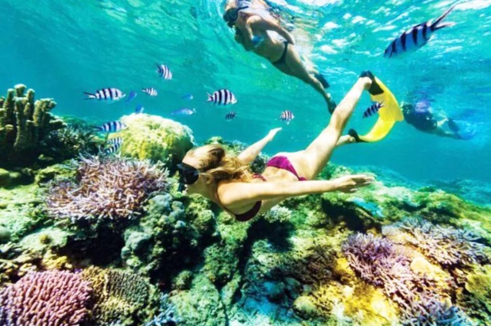 Bali: All-Inclusive Snorkeling at Blue Lagoon Beach - Important Information