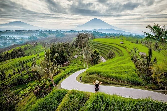 Bali BEST Things to Do Private Full-Day Tour From Your Hotel - Cancellation Policy