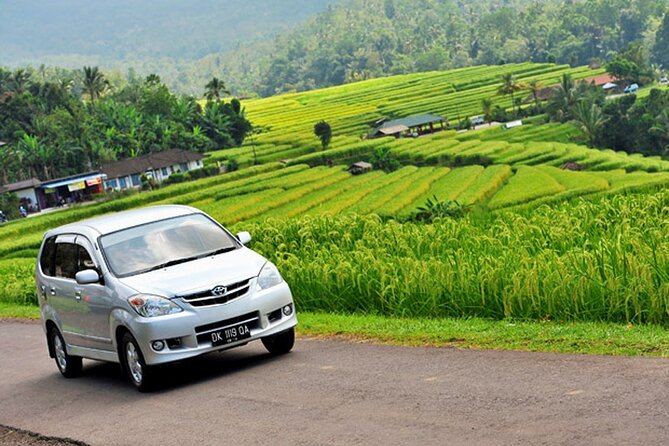 Bali Car Hire With Driver - Accessibility Features