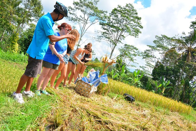 Bali Countryside Cycling Tours - Cancellation Policy