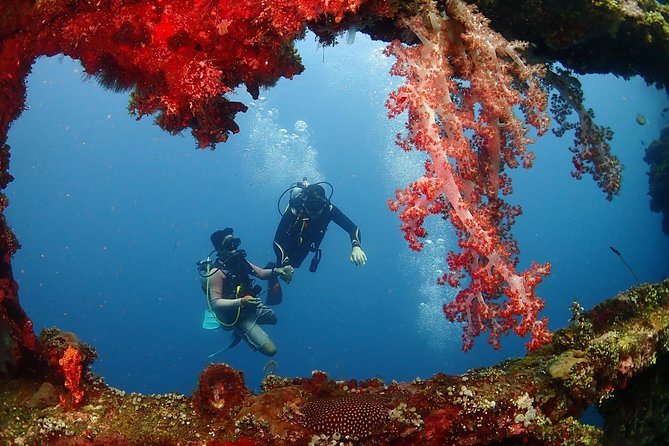 Bali Diving for Beginners: Tulamben Liberty Wreck - Age and Health Requirements