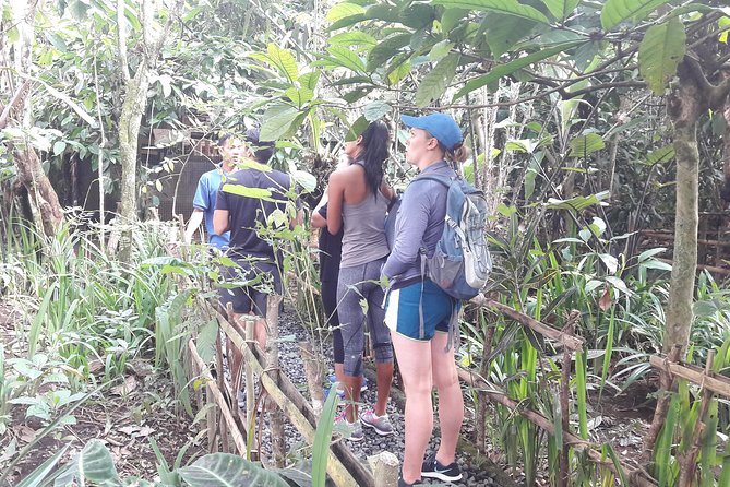 Bali Eco & Educational Cycling Tour - Safety and Restrictions