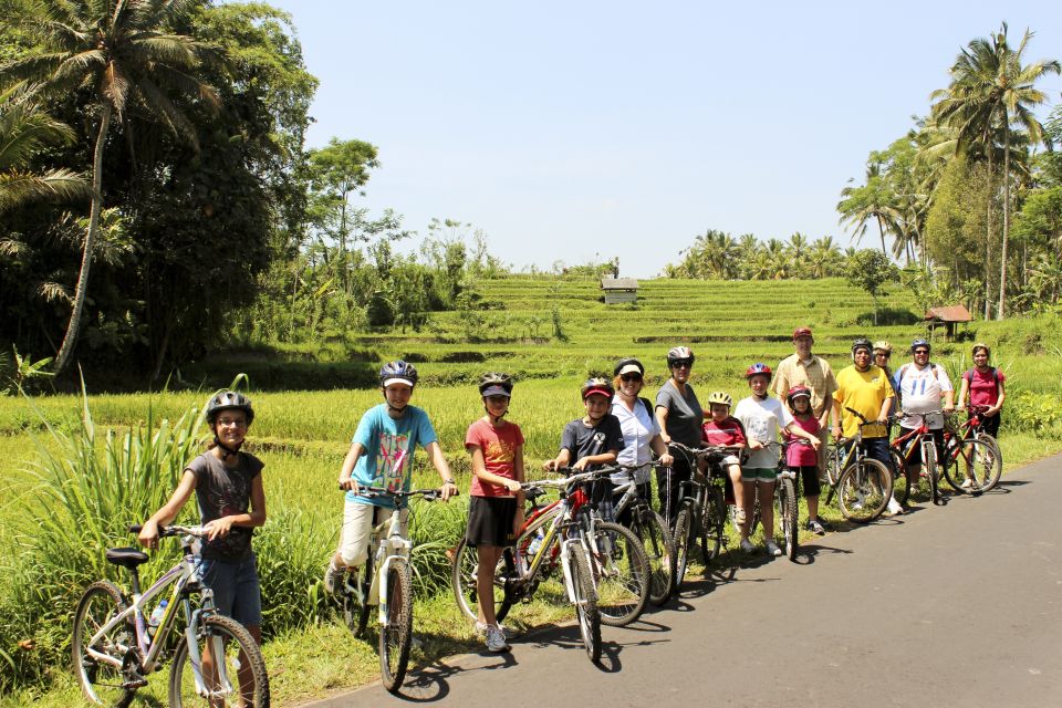 Bali: Jatiluwih Rice Terraces 1 Hour Electric Bike Tour - Inclusions and Amenities