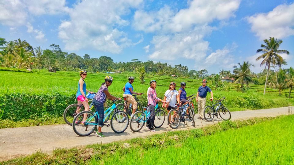 Bali Natural Downhill Cycling Tour and Visit Batur Volcano - Inclusions and Exclusions