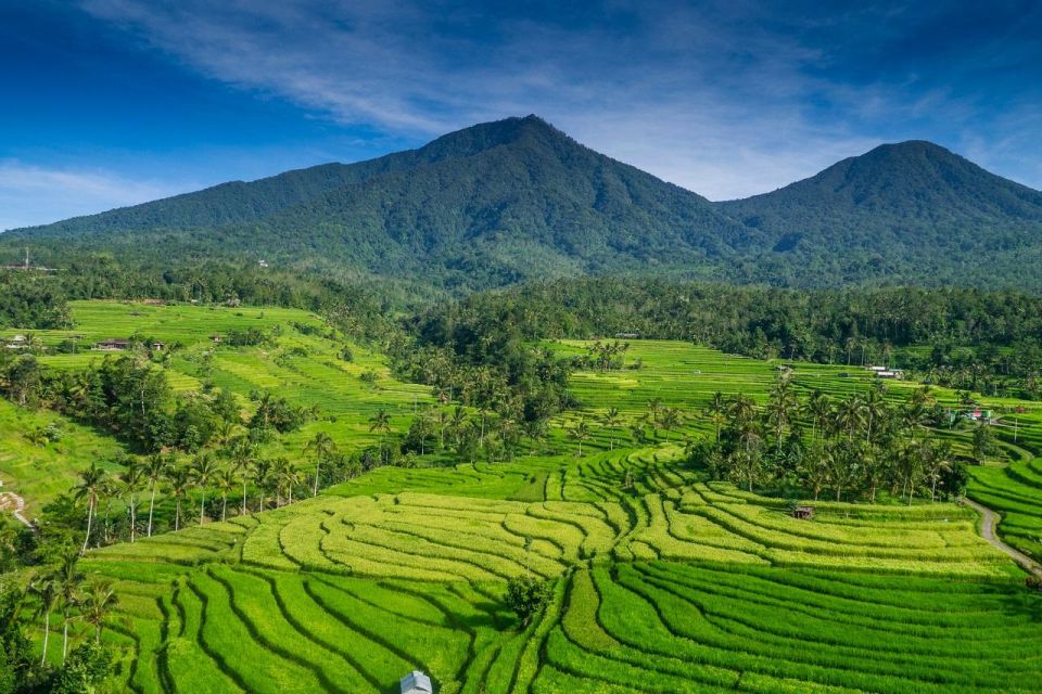 Bali: North Island Private Day Tour With Banyumala Waterfall - Handara Iconic Gate