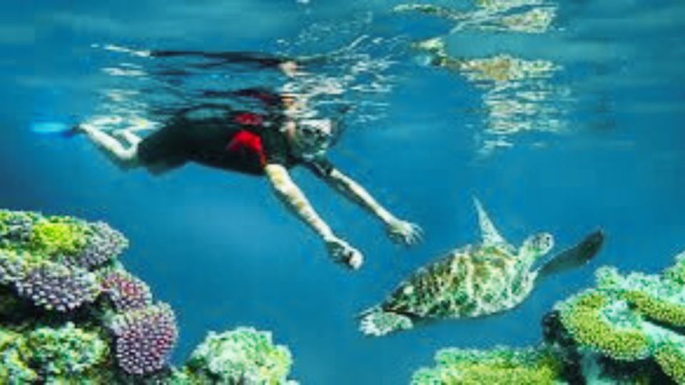 Bali: Nusa Penida Day Tour With Snorkeling, Pickup, & Lunch - Natural Attractions