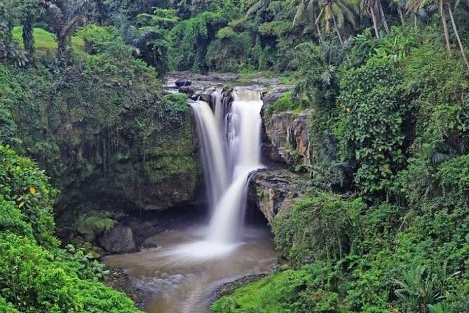 Bali Private Car Charter With English Speaking Driver or Guide - Confirmation and Booking Process