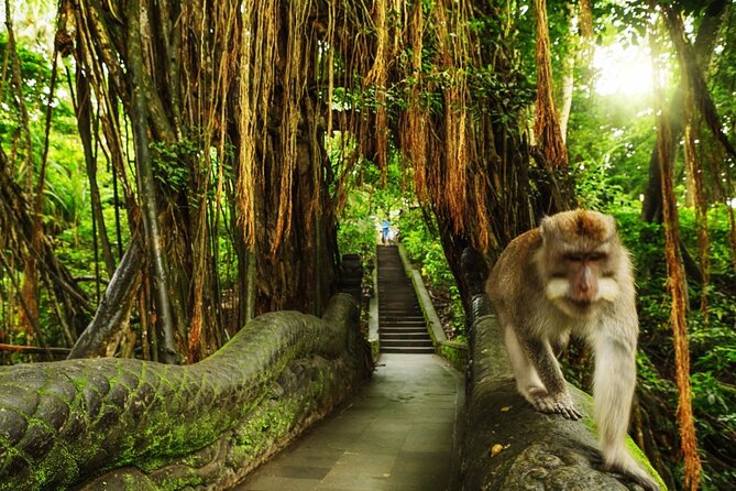 Bali Private Inclusive Tour: Best of Ubud in a Day - Pricing and Policies